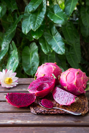 bright juicy tropical red dragon fruit. Dragon fruit or Pitaya is the plant in Cactaceae family or Cactusの写真素材