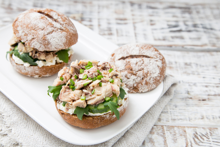 Food burger with tuna, herbs, cucumbers, cottage cheese, onions.の写真素材