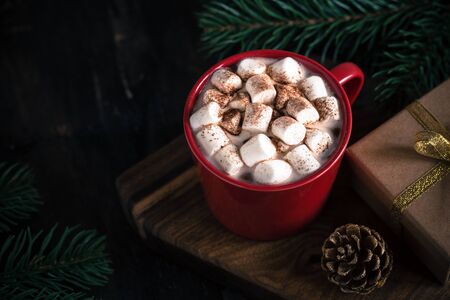 Christmas drink. Hot chocolate or cocoa, marshmallow and pine branch. Christmas, winter concept. Close upの写真素材