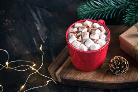 Christmas drink. Hot chocolate or cocoa, marshmallow and pine branch. Christmas, winter concept. Close upの写真素材