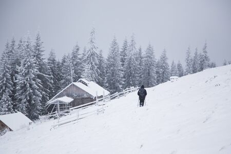 Beautiful winter mountain landscape. Cabin in the mountains in winter. Winter landscape with fresh snow in a mountain forestの写真素材