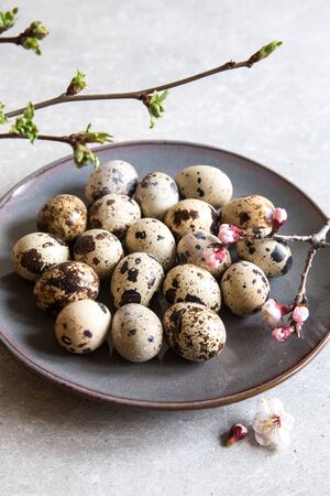natural organic fresh quail eggs. Protein dietの写真素材