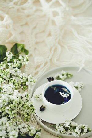 Cup of Butterfly pea tea (pea flowers, blue pea) for healthy drinking, detox drinking and white lilac. Relax time, pay yourself firstの写真素材