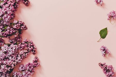 Spring flowers. Frame of twigs of blooming  lilac on a pink background. top view. place for text/