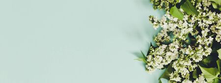 Spring flowers. Frame of twigs of blooming white lilac on a blue background. top view. place for...
