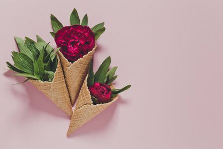 peony and leaves in  icecream cone on pink background. Flat layの写真素材