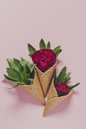 peony and leaves in  icecream cone on pink background. Flat layの写真素材