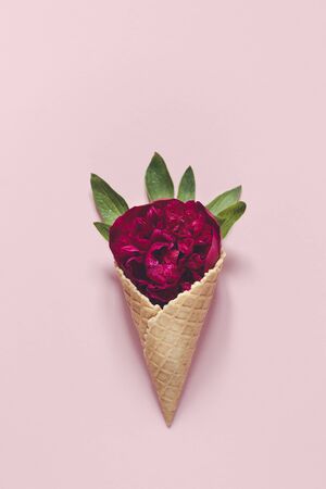 peony and leaves in  icecream cone on pink background. Flat layの写真素材