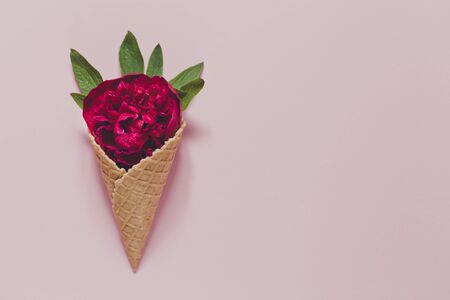 peony and leaves in  icecream cone on pink background. Flat layの写真素材