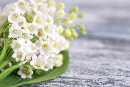 Bouquet of lilies of the valley on the blue wooden board /の写真素材
