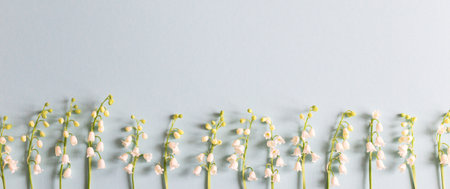 blooming lilies of the valley on a blue background. trendy floral backgroundの写真素材