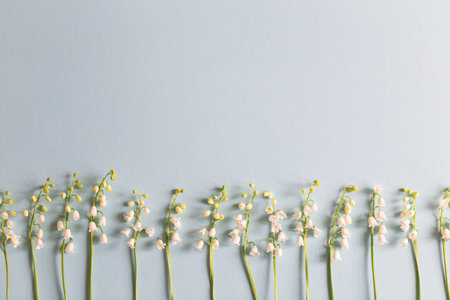blooming lilies of the valley on a blue background. trendy floral backgroundの写真素材