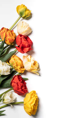 tulip flowers bouquet on white background. Flat lay, top view floral festive holiday concept. place for your text, selective focus,の写真素材