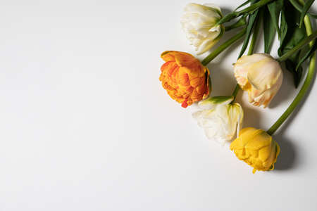 tulip flowers bouquet on white background. Flat lay, top view floral festive holiday concept. place for your text, selective focus,の写真素材