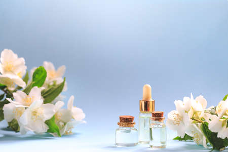Tender jasmine flowers and oil. Small bottle with cosmetic (cleansing) aroma oil and white jasmine flowers. Natural skin care, homemade spa and beauty treatment recipe. Copy spaceの写真素材
