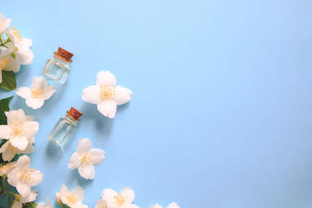 Tender jasmine flowers and oil. Small bottle with cosmetic (cleansing) aroma oil and white jasmine flowers. Natural skin care, homemade spa and beauty treatment recipe. Copy spaceの写真素材