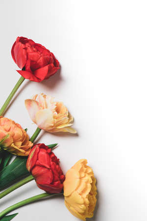 tulip flowers bouquet on white background. Flat lay, top view floral festive holiday concept. place for your text, selective focus,の写真素材