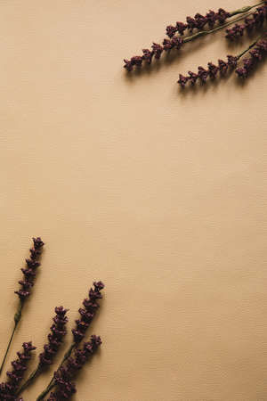 Natural beige background with a dry flower. Top view, Copy space for textの写真素材