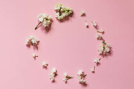 Creative congratulations layout from lilac on pink papper. spring flower concept. Flat lay, top view, copy space.の写真素材