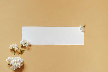 lilac flowers with white card. Creative congratulations layout from lilac on white papper. spring...
