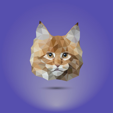 Low-poly cat. The head of a mane coone. Suitable for printing on clothing and t-shirtsのイラスト素材