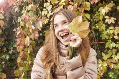 girl outdoors enjoying nature. Beautiful autumn female model holds an yellow leaf near the face. Fashion portrait woman hides her face yellow maple leaves. Leafs falling and people conceptの写真素材