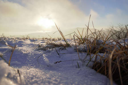 Winter mountains, dry grass growing for wildlife.の写真素材