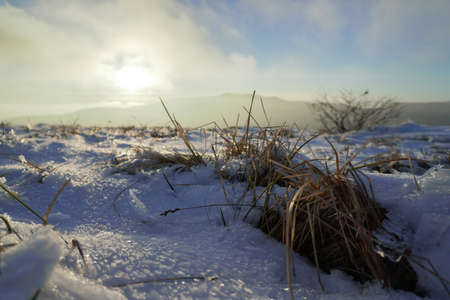 Autumn mountain landscape with snowy peaks.の写真素材