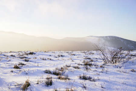 Snowy hill with bush and cloudy sky. Foggy sunsetの写真素材