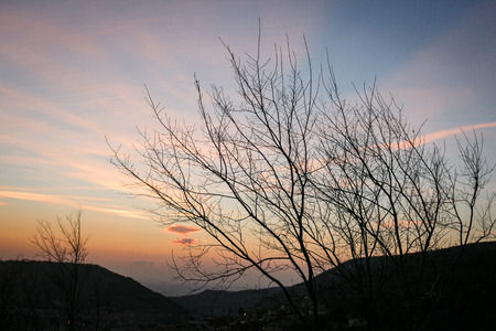 Winter Dawnの写真素材