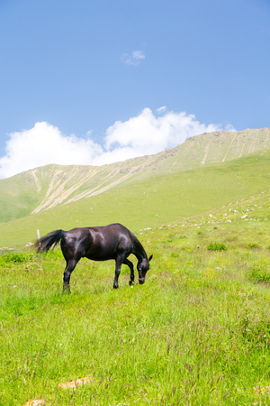 mountain green hills to the rivers and the blue skyの写真素材
