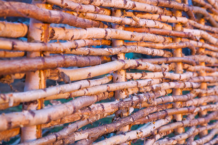 wood texture. background old wood, cuts and saw cutの写真素材