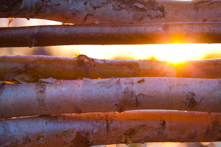 wood texture. background old wood, cuts and saw cutの写真素材