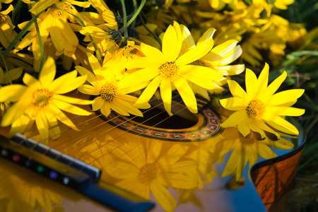 Blurry  photo of acoustic guitar and white flowers chamomiles close-up, music backgroundの写真素材