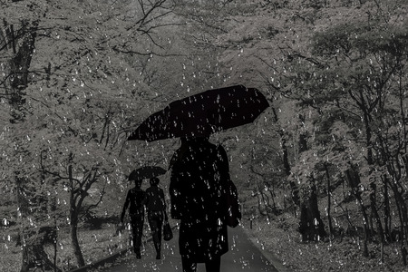 People walk in the pouring rain on the road in the parkの写真素材