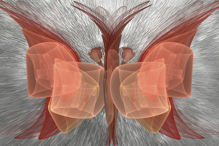 Fractal Design "Pink Butterfly" on the gray backgroundの写真素材