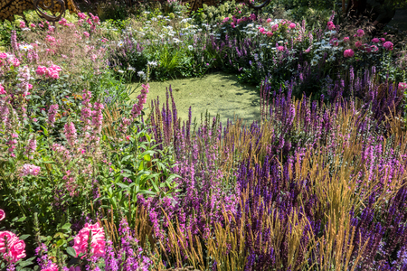 Beautiful flowering garden with a pond surrounded by colorful flowers. Landscape design with water objects.の写真素材