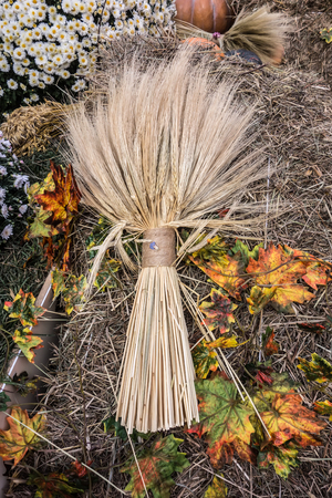 Bunch of wheat ears against the background of hay and autumn foliage. Still life on the theme of the harvest festival.の写真素材