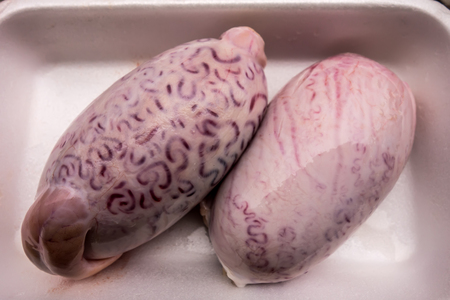 A pair of bull testicles on a white plastic tray. The outer surface of shell bull testicles.