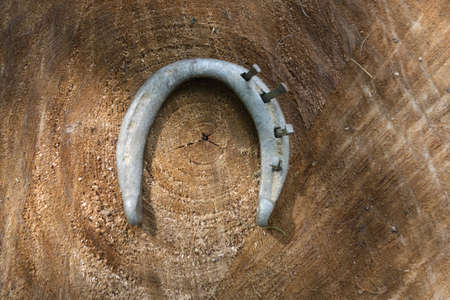 Vintage horse shoe with metal nails on a wooden tree stump background.の写真素材