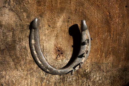 Vintage horse shoe with metal nails on a wooden tree stump background.の写真素材
