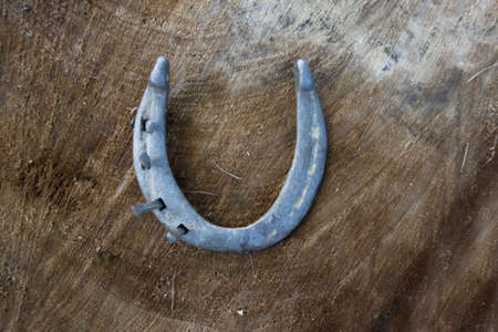 Vintage horse shoe with metal nails on a wooden tree stump background.