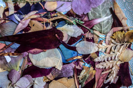 Leaves and flowers of dried plants close-up. Beautiful floral background prepared for creative work in the field of design of dry plants.の写真素材