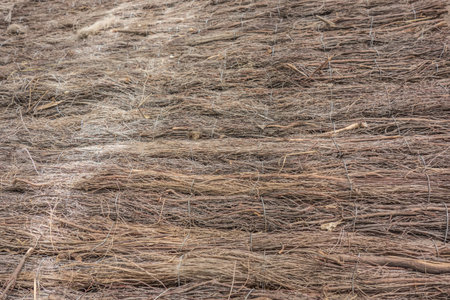 Vintage abstract rustic twig background.Texture of the wall woven from dry branches.の写真素材