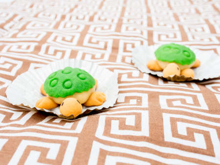 Cute Turtle Shaped Cakeの写真素材