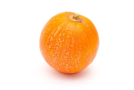 The pumpkin orange pleases us with the kindの写真素材