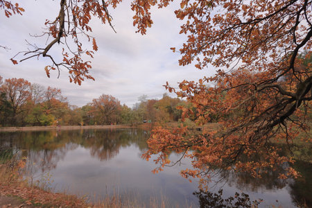 Autumn landscape in the park, with autumn trees and lake.の写真素材
