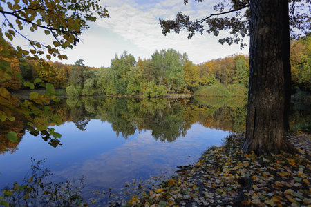 Autumn landscape with a lake and trees in the forest, Russiaの写真素材