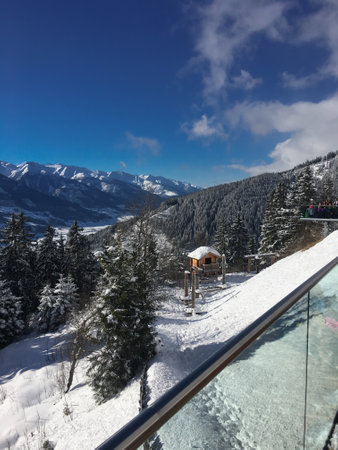 View from the cabin of the cable car to the snow-capped Alpsの写真素材