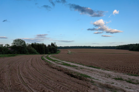 Landscape with a plowed field and a blue sky with cloudsの写真素材